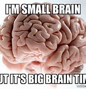 Image result for Brain Meme Pic