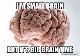 Image result for Small Brain Meme