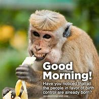 Image result for Funny Good Morning Greetings Free