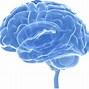 Image result for Brain ClipArt PNG