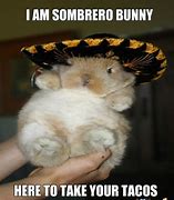 Image result for Sombrero Bunny Meme