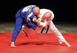 Image result for Judo Stance