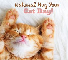 Image result for National Hug Your Pet Day Cat