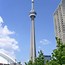 Image result for CN Tower Height