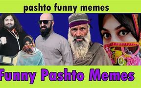Image result for Pashto Funny Jokes