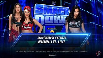 Image result for Nikki Bella vs AJ Lee