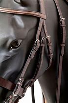 Image result for Pelham Bit Bridle