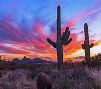 Image result for Arizona Desert Scene