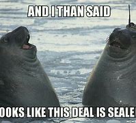 Image result for Laughing Seal Meme