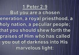 Image result for 1st Peter 2 9