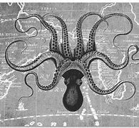 Image result for Octopus Art Black and White