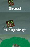 Image result for Grass Laughing Meme