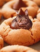 Image result for Cat in Food Meme Nugget