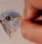 Image result for Colored Pencil Drawing.pdf