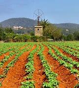 Image result for agrifultura