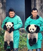 Image result for Chinese Zookeeper