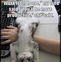 Image result for Cute Animal Memes Clean