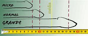 Image result for 16 Cm to Inches Chart