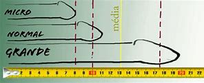 Image result for How Big Is Three Centimeters