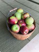 Image result for We Have a Lot of Apple's