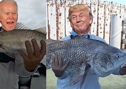 Image result for Joe Biden and Gavin Newsom Fishing
