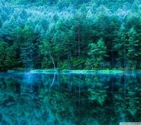 Image result for Scenery Wallpaper for Nokia Lumia