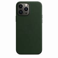 Image result for iPhone 13 Pro Apple Case Colors