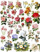 Image result for Floral Scrapbook