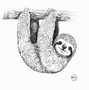 Image result for Cute Sloth Drawing
