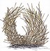 Image result for Bird Nest Drawing