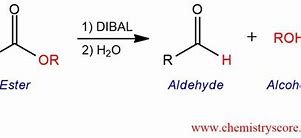 Image result for aldeh�dicl