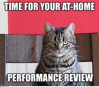 Image result for Code Review Meme