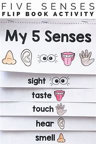 Image result for My Five Senses Booklet for Kindergarten