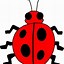 Image result for Insect Clip Art Black and White Free