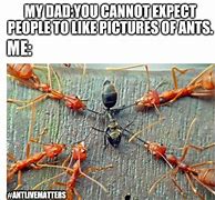Image result for Homless Ant Meme