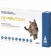 Image result for Revolution Spot On for Cats