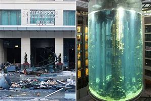 Image result for Aquarium Explodes