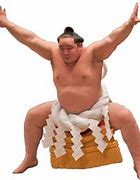 Image result for Sumo Wrestler PNG