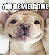 Image result for Your Welcome Cute Meme