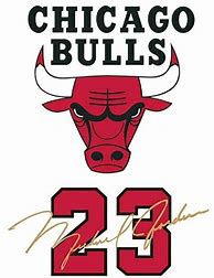 Image result for All the People in the NBA Bulls