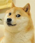 Image result for Doge Before and After Meme Template