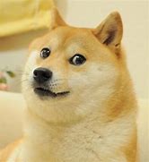 Image result for Doge with Knife Meme Template