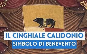 Image result for calidonio