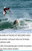Image result for Shark Attack Meme