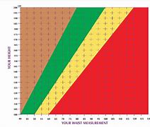 Image result for Waist Size Height Chart