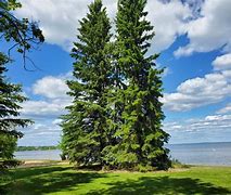 Image result for Cold Lake Campground