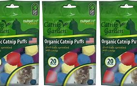 Image result for organic cat toy