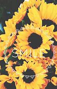 Image result for Cute Sunflower Desktop Wallpaper