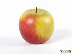 Image result for Apple Side View