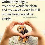 Image result for Quotes Animal Love Cute